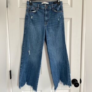 Ella Moss Cropped Wide Leg Jeans Size 29 Distressed Raw Hem Denim